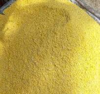 Yellow Garri