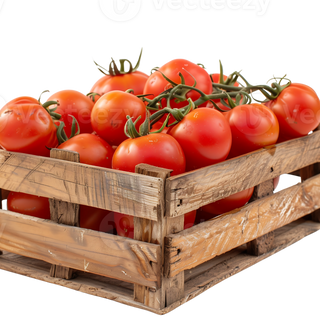 Fresh Roma Tomatoes Firm & Juicy for Cooking & Sauces