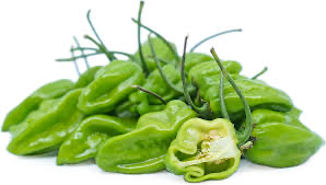 Fresh Green Habanero Pepper Spicy & Aromatic Chili