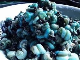 Fresh Periwinkle Seafood Delicacy for Soups & Stews – 1lb Pack